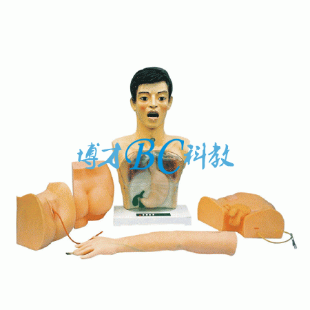 基礎(chǔ)護理實習(xí)操作模型
